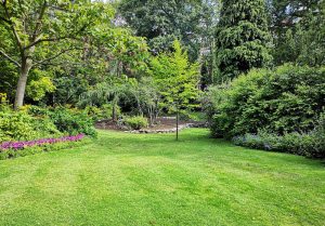 Optimiser l'expérience du jardin à Ambares-et-Lagrave